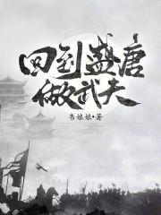 回到盛唐做武夫无防盗