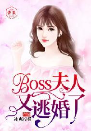 boss夫人又跑了免费阅读